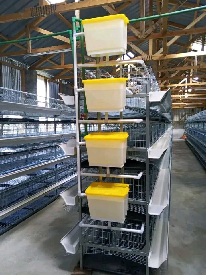 Galvanized layer cage equipment